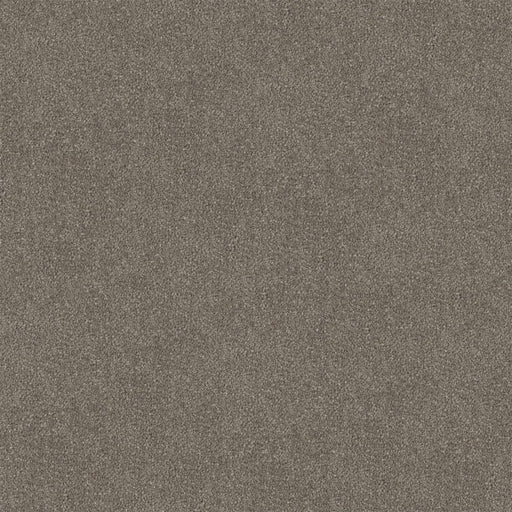Trufflestone Cut Pile Twist Carpet (CGR2) - National Floors