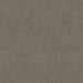 Trufflestone Cut Pile Twist Carpet (CGR2) - National Floors