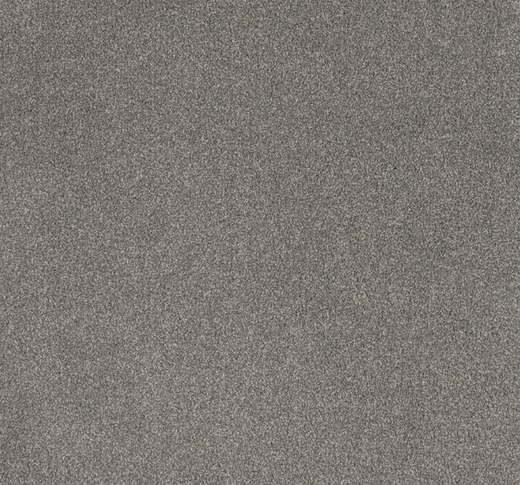 Valtan Cut Pile Twist Carpet (CEL9)