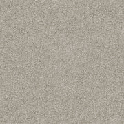 Urban Steel Cut Pile Twist Carpet (CGS12)