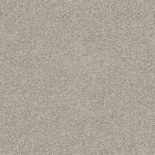 Urban Steel Cut Pile Twist Carpet (CGS12)