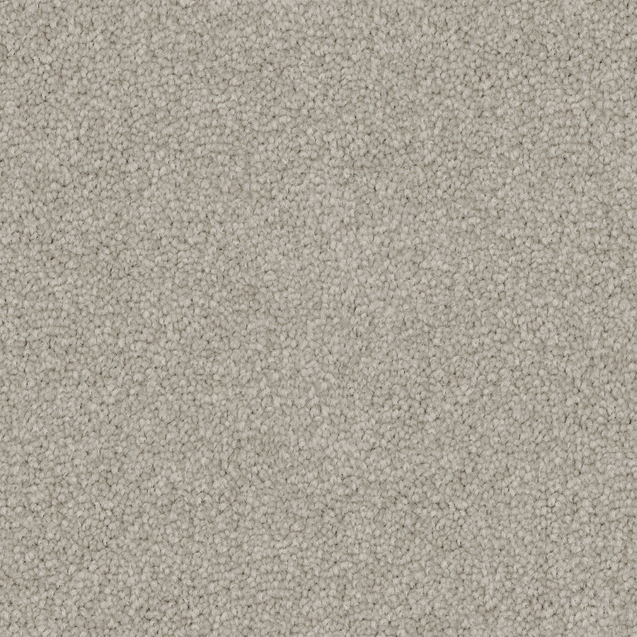 Urban Steel Cut Pile Twist Carpet (CGS12)