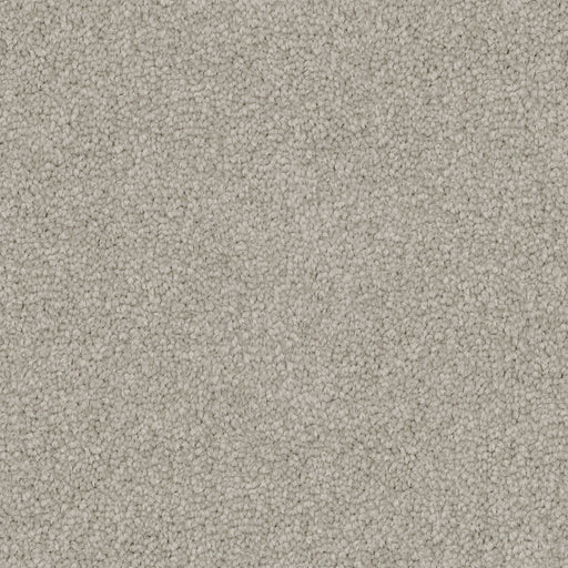 Urban Steel Cut Pile Twist Carpet (CGS12) - National Floors