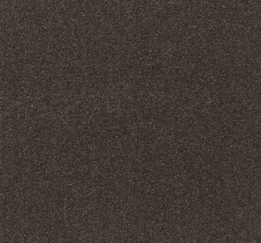 Avelune Cut Pile Twist Carpet (CEL10)