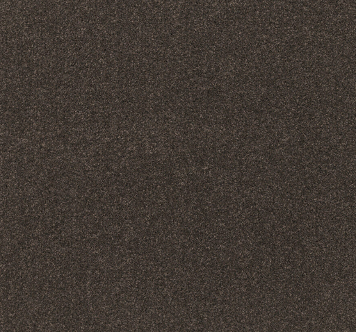 Avelune Cut Pile Twist Carpet (CEL10) - National Floors