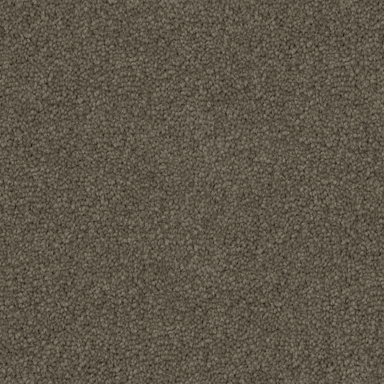Walkstone Cut Pile Twist Carpet (CGS9)
