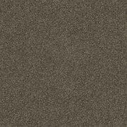 Walkstone Cut Pile Twist Carpet (CGS9)