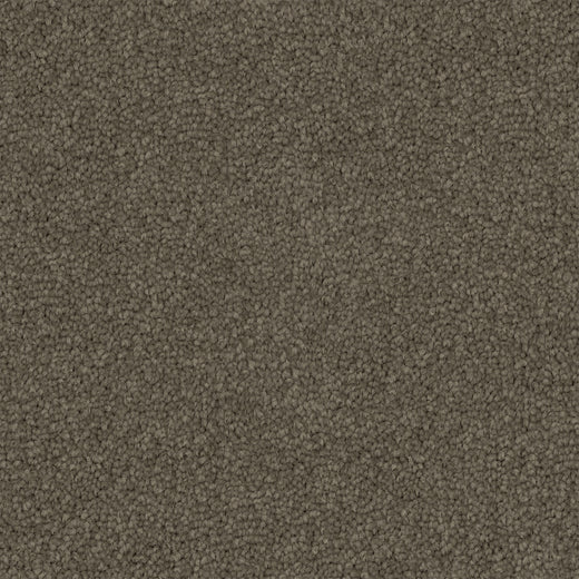 Walkstone Cut Pile Twist Carpet (CGS9)