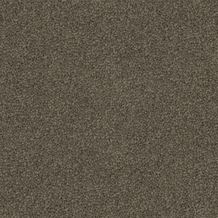 Walkstone Cut Pile Twist Carpet (CGS9)
