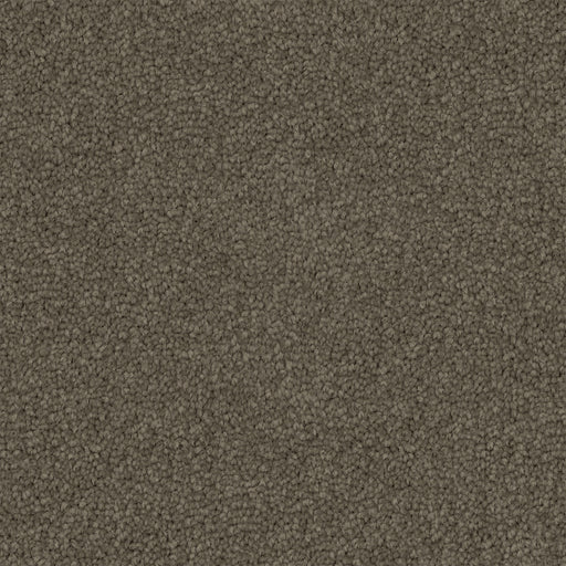 Walkstone Cut Pile Twist Carpet (CGS9) - National Floors