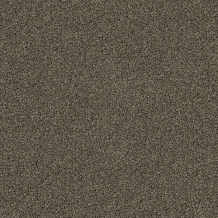Walkstone Cut Pile Twist Carpet (CGS9) - National Floors