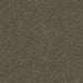 Walkstone Cut Pile Twist Carpet (CGS9) - National Floors