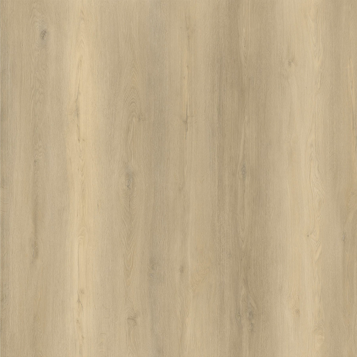 Moon 10mm Hybrid Flooring (HGH55)