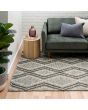ANITA Charcoal 240/320  Rugs (RM102) - National Floors