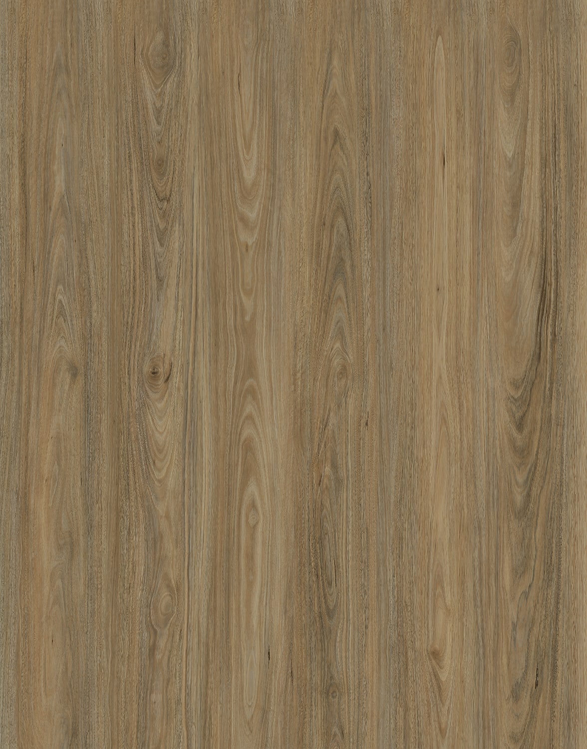 Scrub Gum 8mm Laminate Flooring (LGH14)