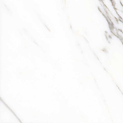 Carrara Polish 10mm Tiles Flooring (TK54) - original tile image