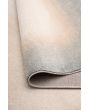 CARSEN 57702-271 240/320  Rugs (RM158) - National Floors