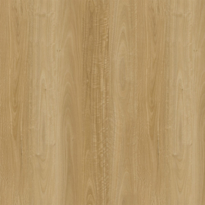 Apex Blackbutt 10mm Hybrid Flooring (HGH-Z545)