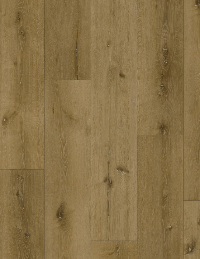 Sunshine 8mm Laminate Flooring (ECO100)