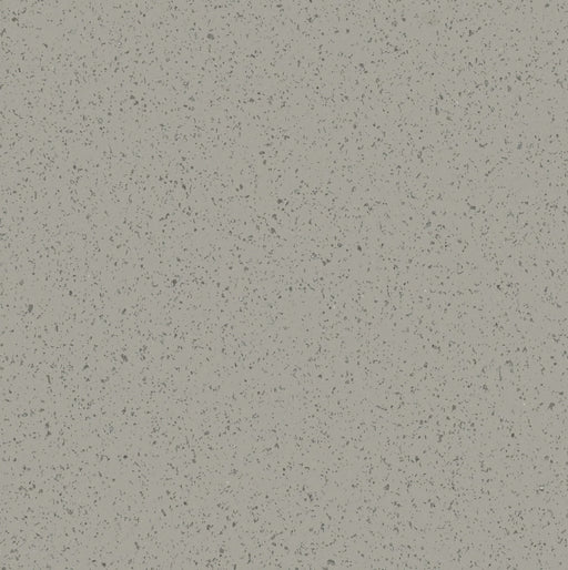 Desert Wind Vinyl Sheet Flooring (VA189)