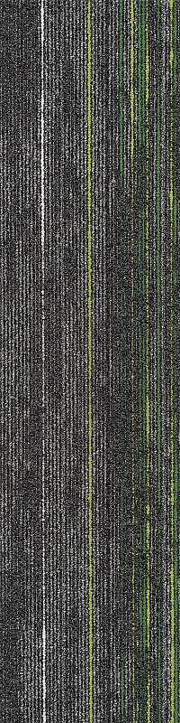 Accoria Verde Carpet Tile (CTN107)