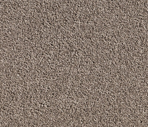 Birch Bliss Nylon Carpet (CQ28) - National Floors