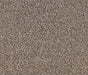 Birch Bliss Nylon Carpet (CQ28) - National Floors