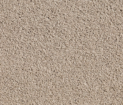 Birdi Bliss Nylon Carpet (CQ36) - National Floors