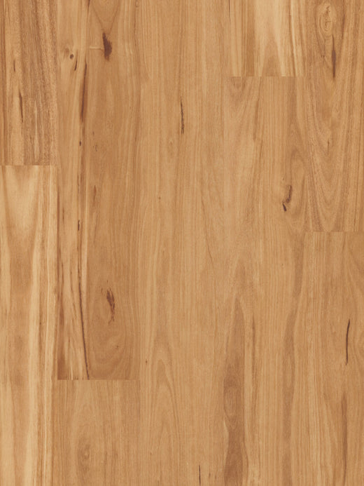 Iron Blackbutt 18mm Solid Timber Flooring (SO1)