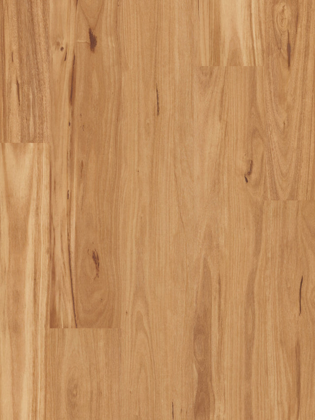 Iron Blackbutt 18mm Solid Timber Flooring (SO1)