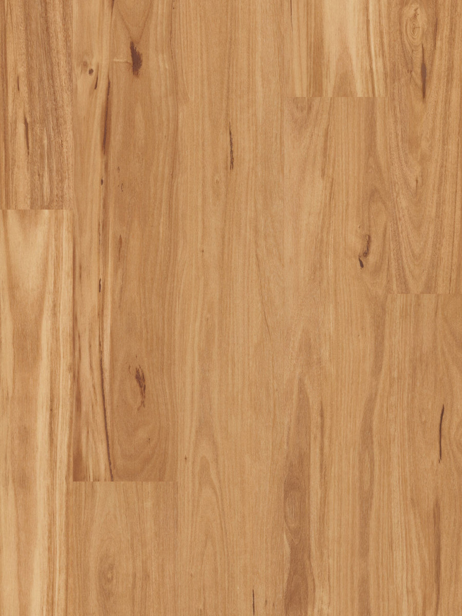 Iron Blackbutt 18mm Solid Timber Flooring (SO1)