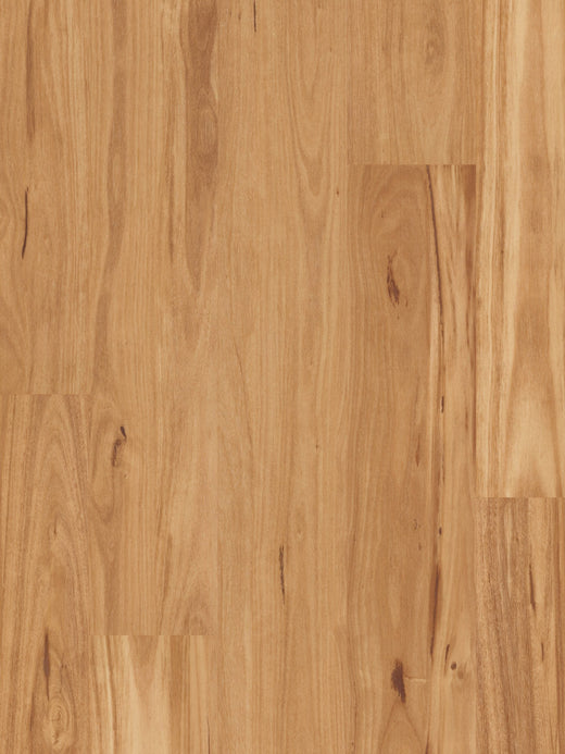 Iron Blackbutt/Feature Grade 18mm Solid Timber Flooring (SO8)