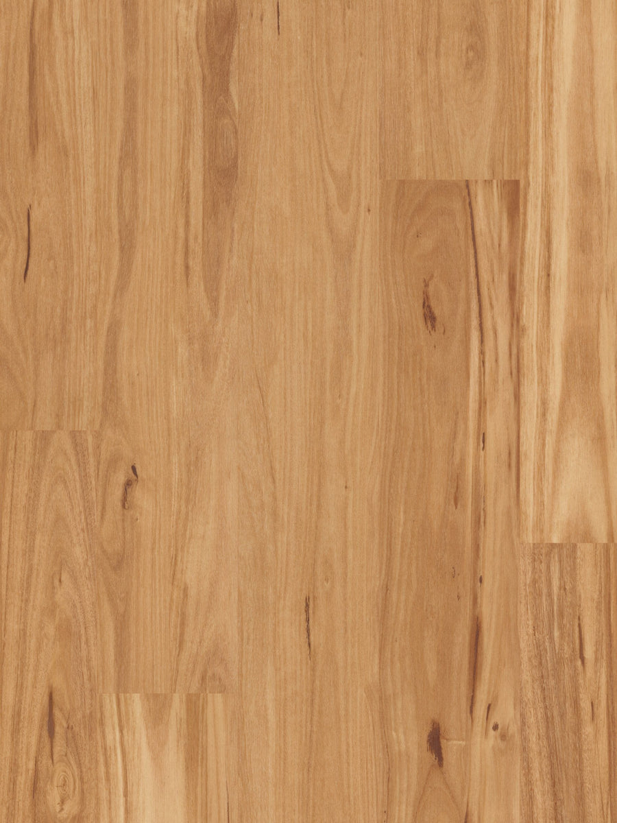 Iron Blackbutt/Feature Grade 18mm Solid Timber Flooring (SO8)