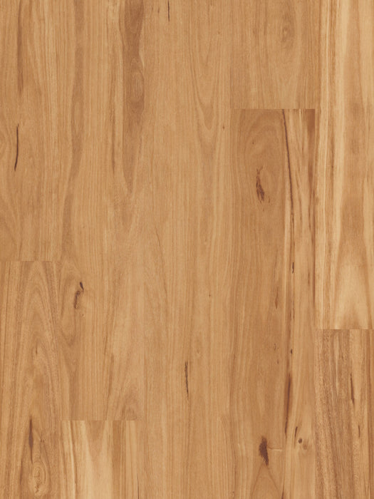 Blackbutt Feature Grade Solid Timber Flooring (STO4) - National Floors
