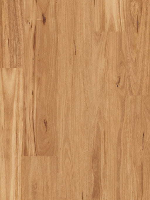 Blackbutt 1 Strip Solid Timber Flooring (STO1) - National Floors