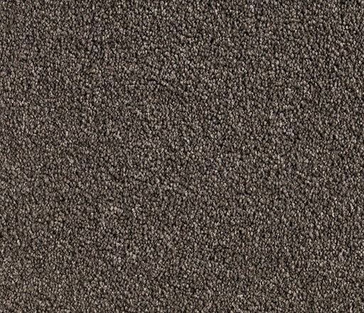 Buff Beauty Nylon Carpet (CQ29) - National Floors