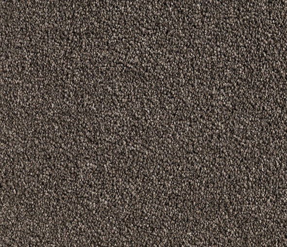 Buff Beauty Nylon Carpet (CQ29) - National Floors