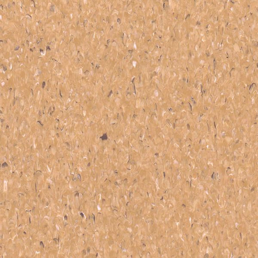 Capricorn Beige Accolade Plus Homogeneous Vinyl Sheet (VA46) - National Floors