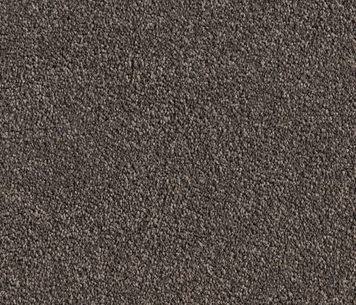 Cedarwood Comfort Nylon Carpet (CQ16) - National Floors