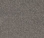 Cedarwood Comfort Nylon Carpet (CQ37) - National Floors
