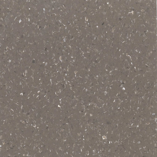 Chapel Brown Quantum Homogeneous Vinyl Sheet (VA73) - National Floors