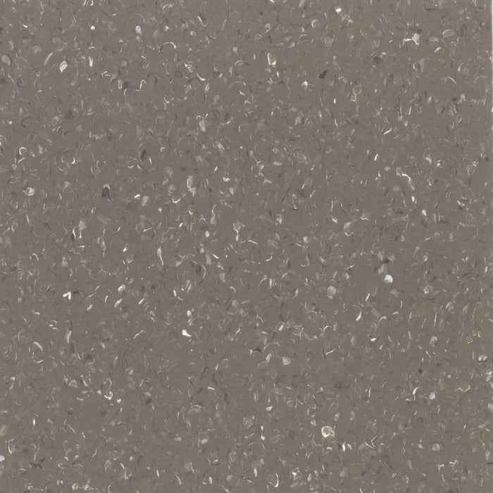 Chapel Brown Quantum Homogeneous Vinyl Sheet (VA73) - National Floors