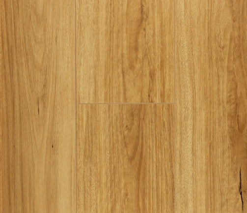 Shore Blackbutt 12mm Laminate Flooring (LFT20)