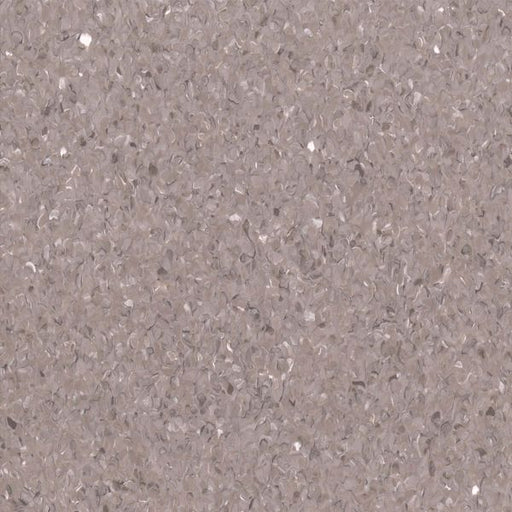 Darling Grey Accolade Plus Homogeneous Vinyl Sheet (VA31) - National Floors