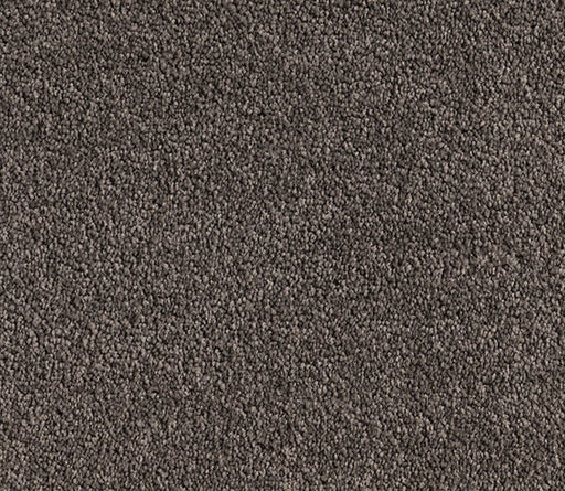Desert Mirage Nylon Carpet (CQ38) - National Floors