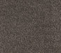 Desert Mirage Nylon Carpet (CQ38) - National Floors