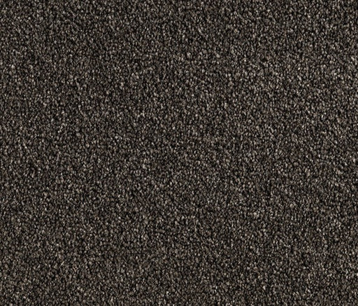 Earth Essence Nylon Carpet (CQ30) - National Floors