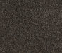 Earth Essence Nylon Carpet (CQ30) - National Floors
