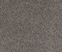 Ecru Elegance Nylon Carpet (CQ61) - National Floors