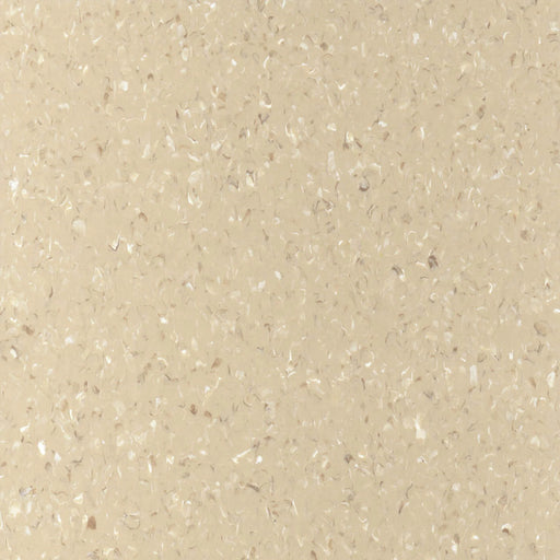 Essex Beige Quantum Homogeneous Vinyl Sheet (VA82) - National Floors